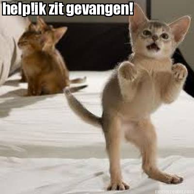 helpik-zit-gevangen
