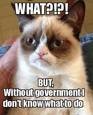 what-without-government-i-dont-know-what-to-do-but