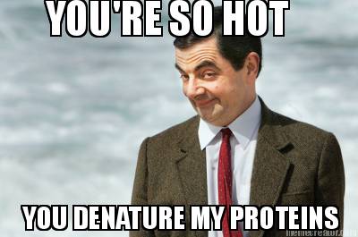 youre-so-hot-you-denature-my-proteins