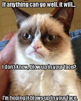 if-anything-can-go-well-it-will...-i-dont-know-blow-up-in-your-face-im-hoping-it