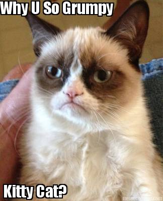 why-u-so-grumpy-kitty-cat