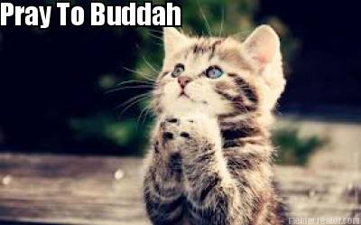 pray-to-buddah