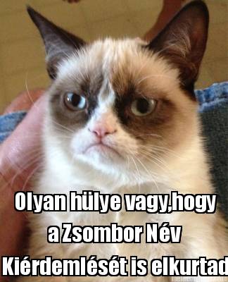olyan-hlye-vagyhogy-a-zsombor-nv-kirdemlst-is-elkurtad