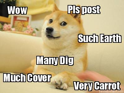 wow-such-earth-much-cover-very-carrot-many-dig-pls-post