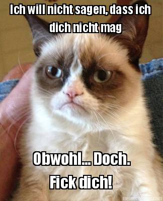 ich-will-nicht-sagen-dass-ich-dich-nicht-mag-obwohl...-doch.-fick-dich