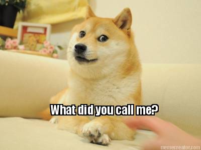 what-did-you-call-me