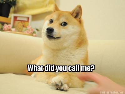 what-did-you-call-me2