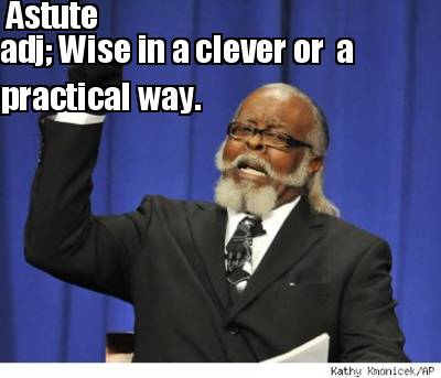 astute-adj-wise-in-a-clever-or-a-practical-way