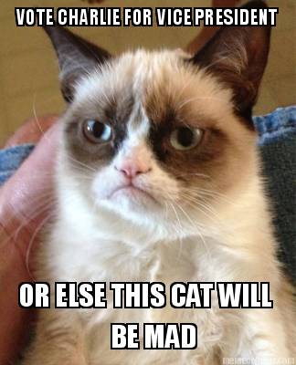 vote-charlie-for-vice-president-or-else-this-cat-will-be-mad