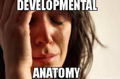 developmental-anatomy