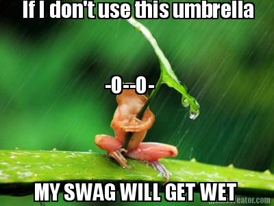 if-i-dont-use-this-umbrella-my-swag-will-get-wet-o-o-