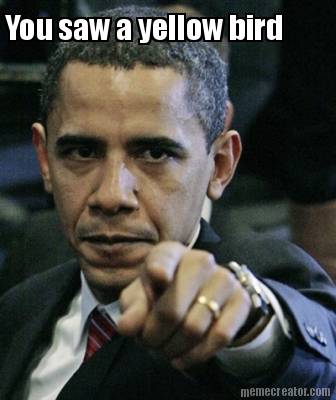 you-saw-a-yellow-bird7