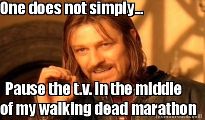 one-does-not-simply...-pause-the-t.v.-in-the-middle-of-my-walking-dead-marathon