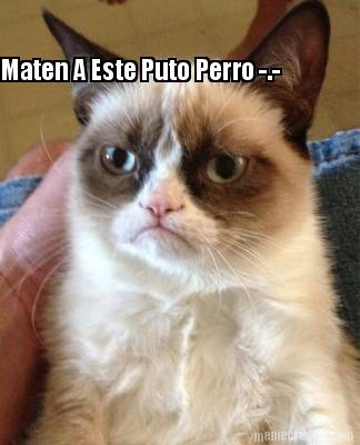 maten-a-este-puto-perro-.-8