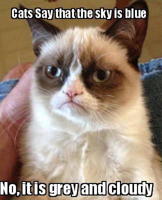 cats-say-that-the-sky-is-blue-no-it-is-grey-and-cloudy