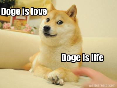 doge-is-love-doge-is-life