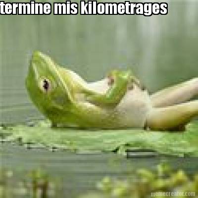 termine-mis-kilometrages