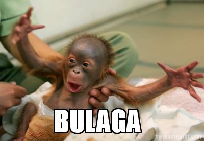 bulaga