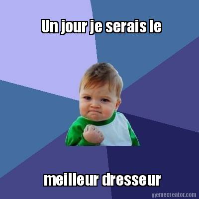 un-jour-je-serais-le-meilleur-dresseur