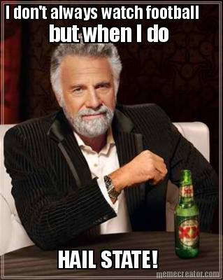 i-dont-always-watch-football-but-when-i-do-hail-state