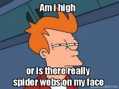 am-i-high-or-is-there-really-spider-webs-on-my-face