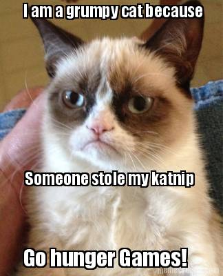 i-am-a-grumpy-cat-because-someone-stole-my-katnip-go-hunger-games9