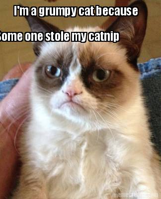 im-a-grumpy-cat-because-some-one-stole-my-catnip