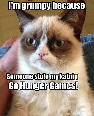 im-grumpy-because-someone-stole-my-katnip-go-hunger-games7