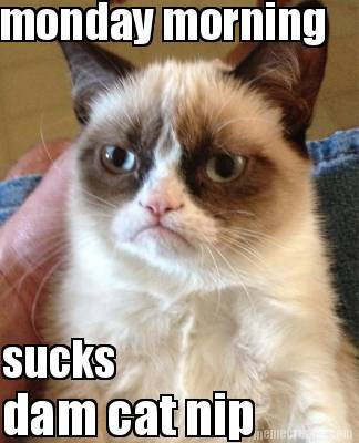 monday-morning-sucks-dam-cat-nip