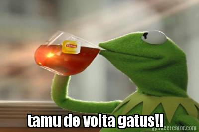 tamu-de-volta-gatus