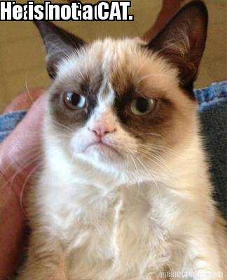 thanks-god-he-is-not-a-cat