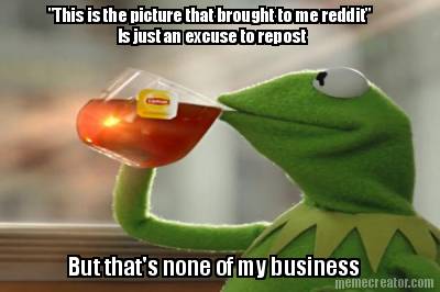 this-is-the-picture-that-brought-to-me-reddit-is-just-an-excuse-to-repost-but-th