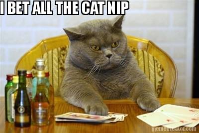 i-bet-all-the-cat-nip