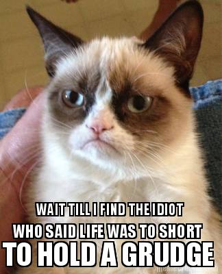 wait-till-i-find-the-idiot-who-said-life-was-to-short-to-hold-a-grudge