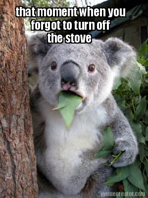 that-moment-when-you-forgot-to-turn-off-the-stove