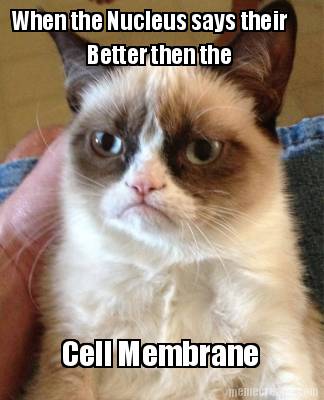 when-the-nucleus-says-their-better-then-the-cell-membrane