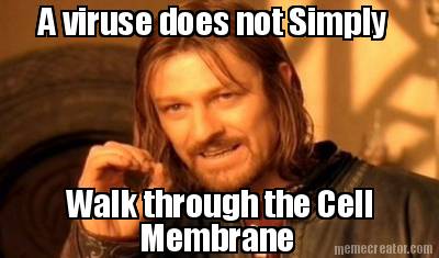 a-viruse-does-not-simply-walk-through-the-cell-membrane