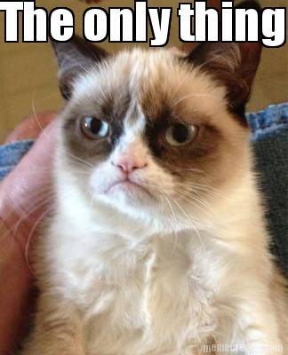 the-only-thing-i-like-about-christmas-is-the-end