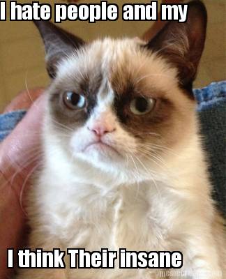 i-hate-people-and-my-i-think-their-insane4