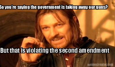 so-youre-saying-the-government-is-taking-away-our-guns-but-that-is-violating-the