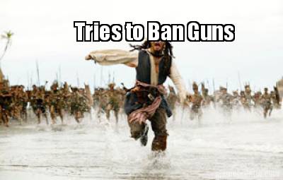 tries-to-ban-guns