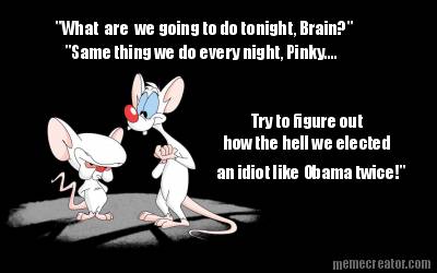 what-are-we-going-to-do-tonight-brain-same-thing-we-do-every-night-pinky....-try