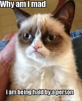 why-am-i-mad-i-am-being-hald-by-a-person7