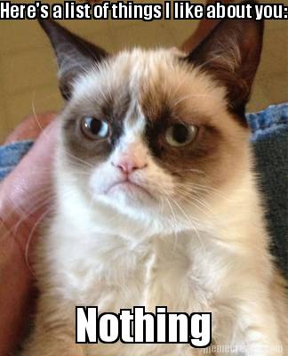 heres-a-list-of-things-i-like-about-you-nothing