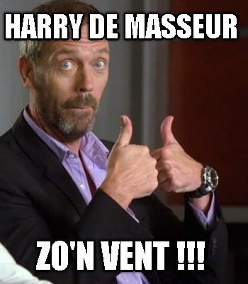 harry-de-masseur-zon-vent-