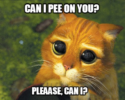 can-i-pee-on-you-pleaase-can-i