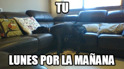 tu-lunes-por-la-maana