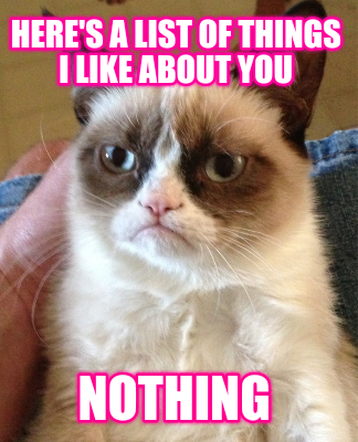 heres-a-list-of-things-i-like-about-you-nothing9