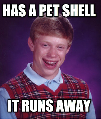has-a-pet-shell-it-runs-away