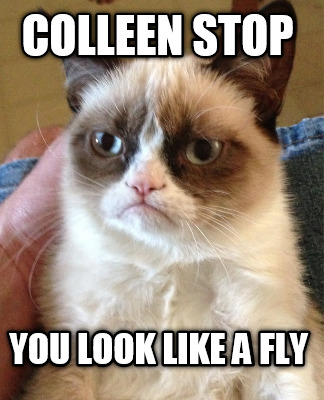 colleen-stop-you-look-like-a-fly